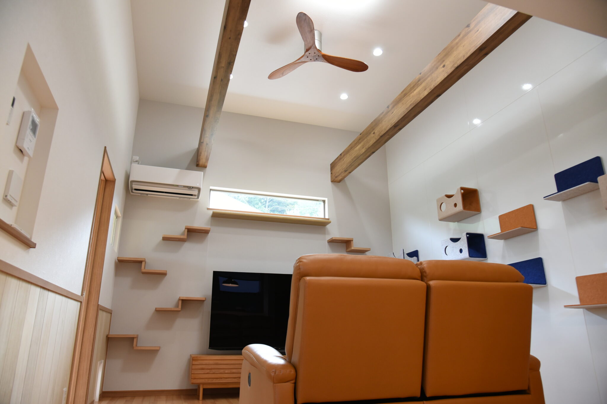 猫ちゃんと暮らす家